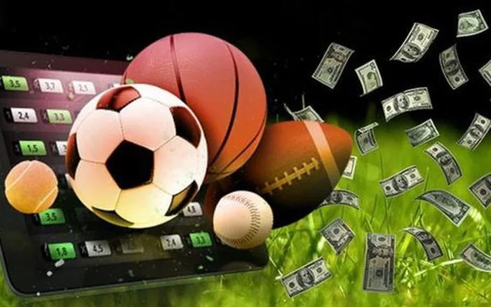 Layar olahraga dengan daftar pertandingan dan pilihan kompetisi